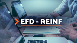 efd-reinf